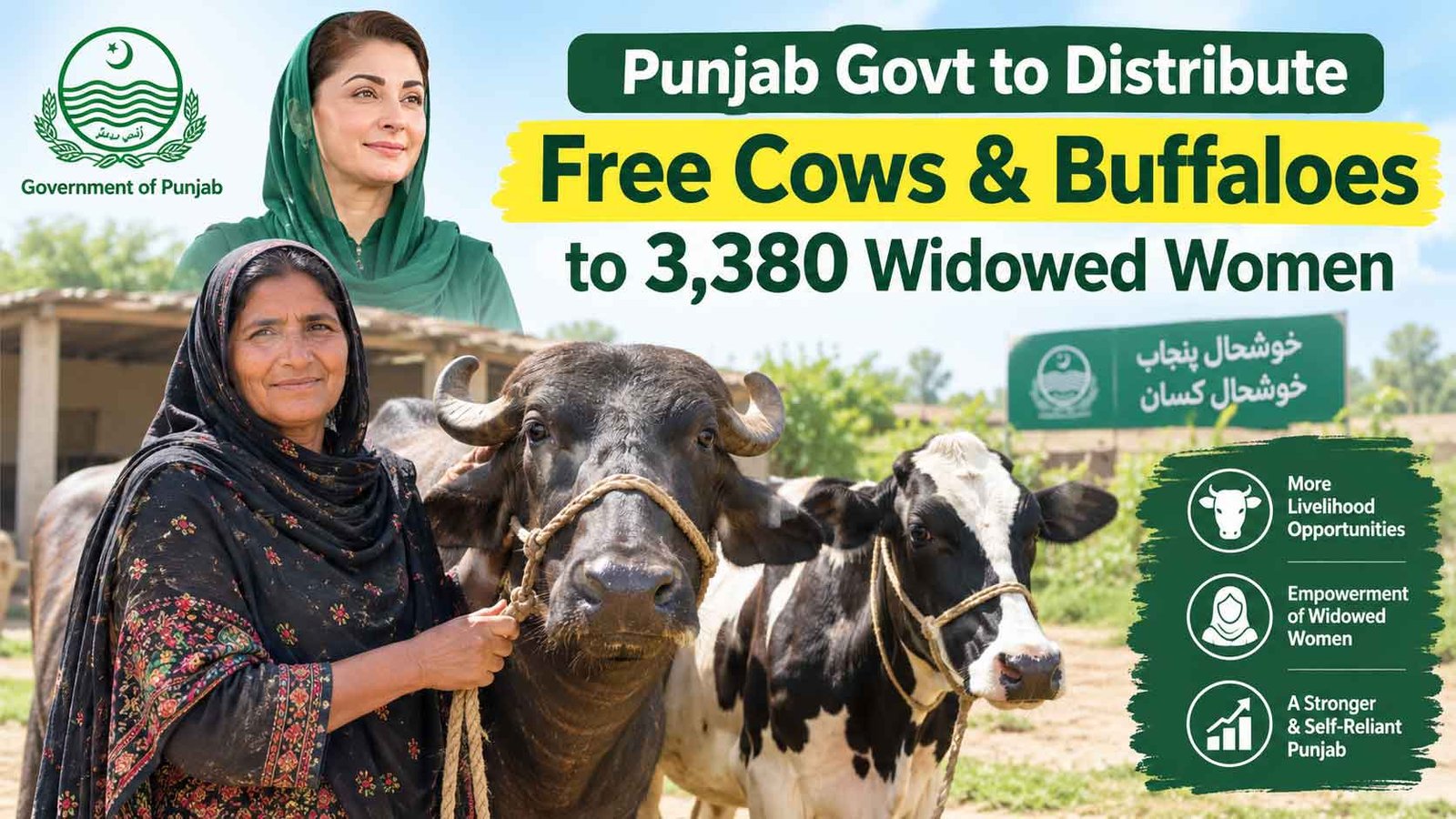 Punjab Govt to Distribute Free Cows & Buffaloes to 3,380 Widowed Women From October 21