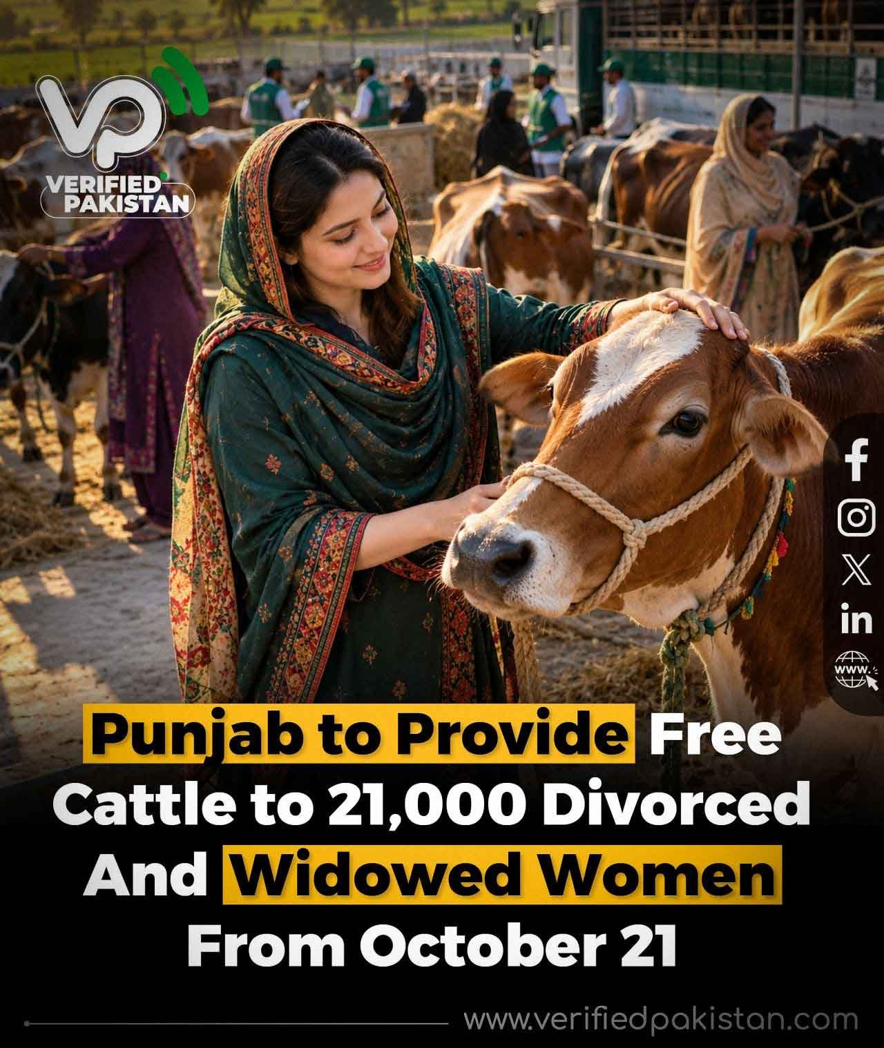 Punjab to Provide Free Cattle to 21,000 Divorced and Widowed Women From October 21